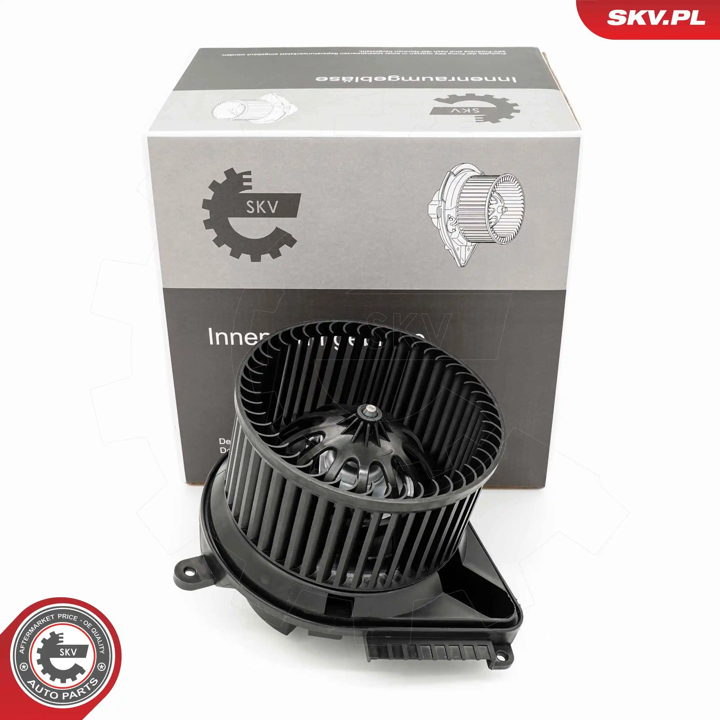 Interior Blower